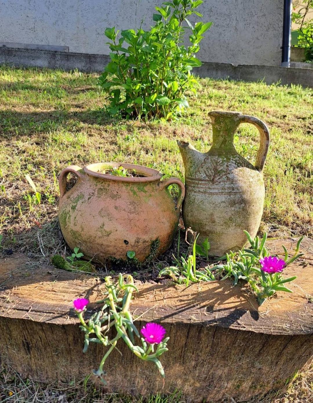 Mala farma Nani Small farm Nani Villa Visoko Exteriör bild