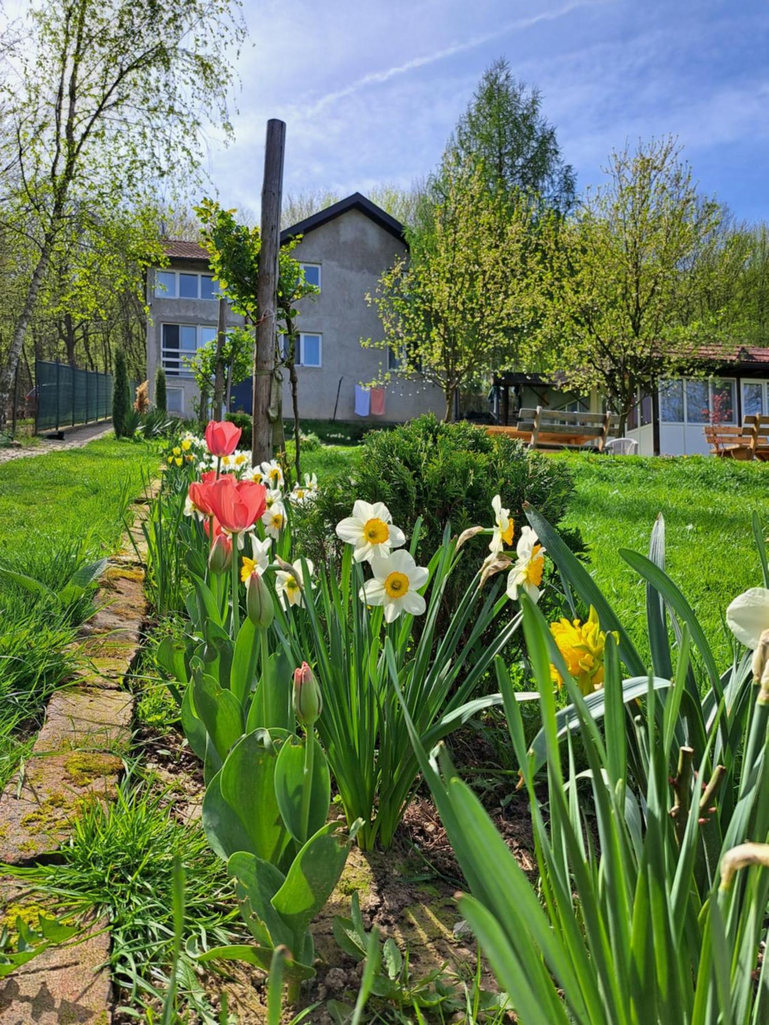 Mala farma Nani Small farm Nani Villa Visoko Exteriör bild