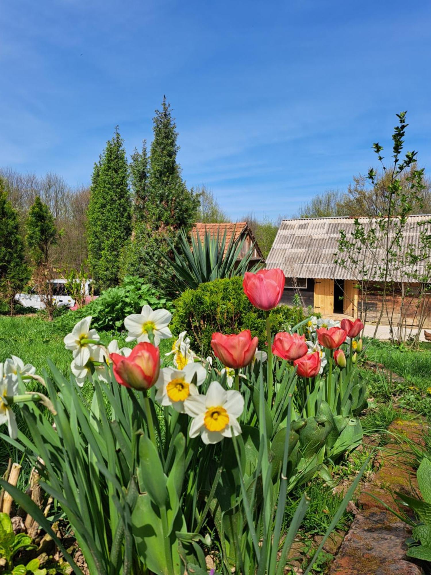 Mala farma Nani Small farm Nani Villa Visoko Exteriör bild